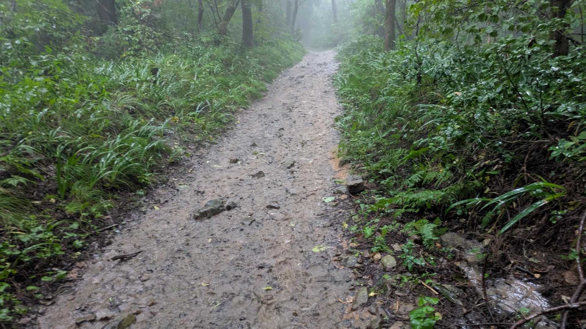 登山道