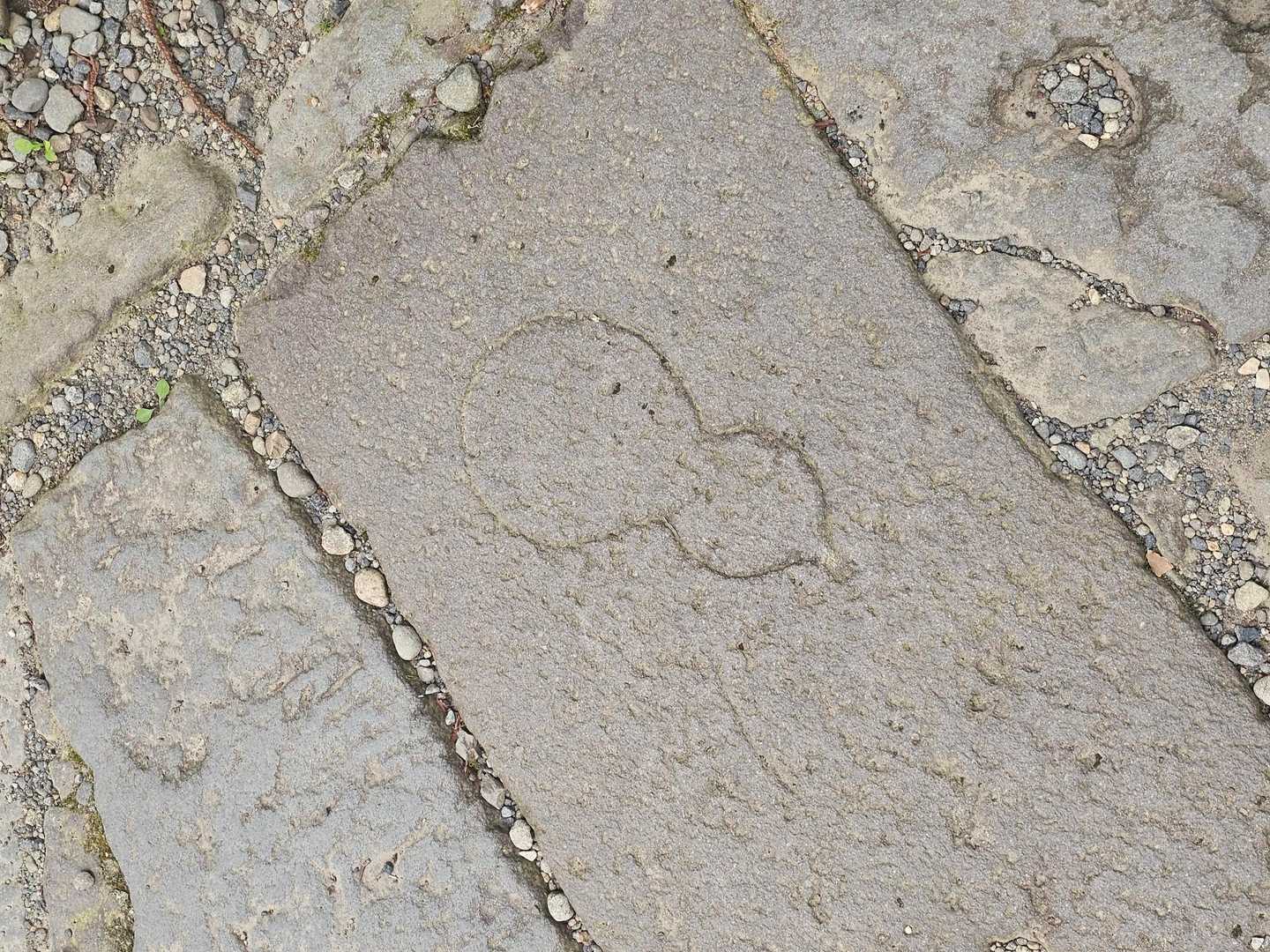 あ！瓢箪みっけ