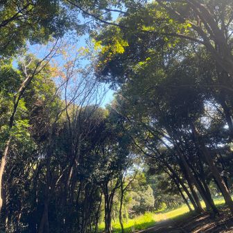 一応、海の森公園についたけど(;'∀')