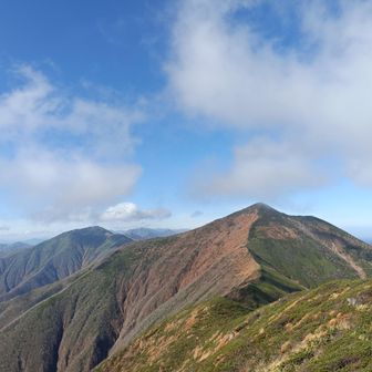 楽古岳を振り返って
大した距離ではないのにハイマツのおかげで手こずった