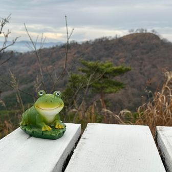 可愛らしい🐸、奥は天狗山👺