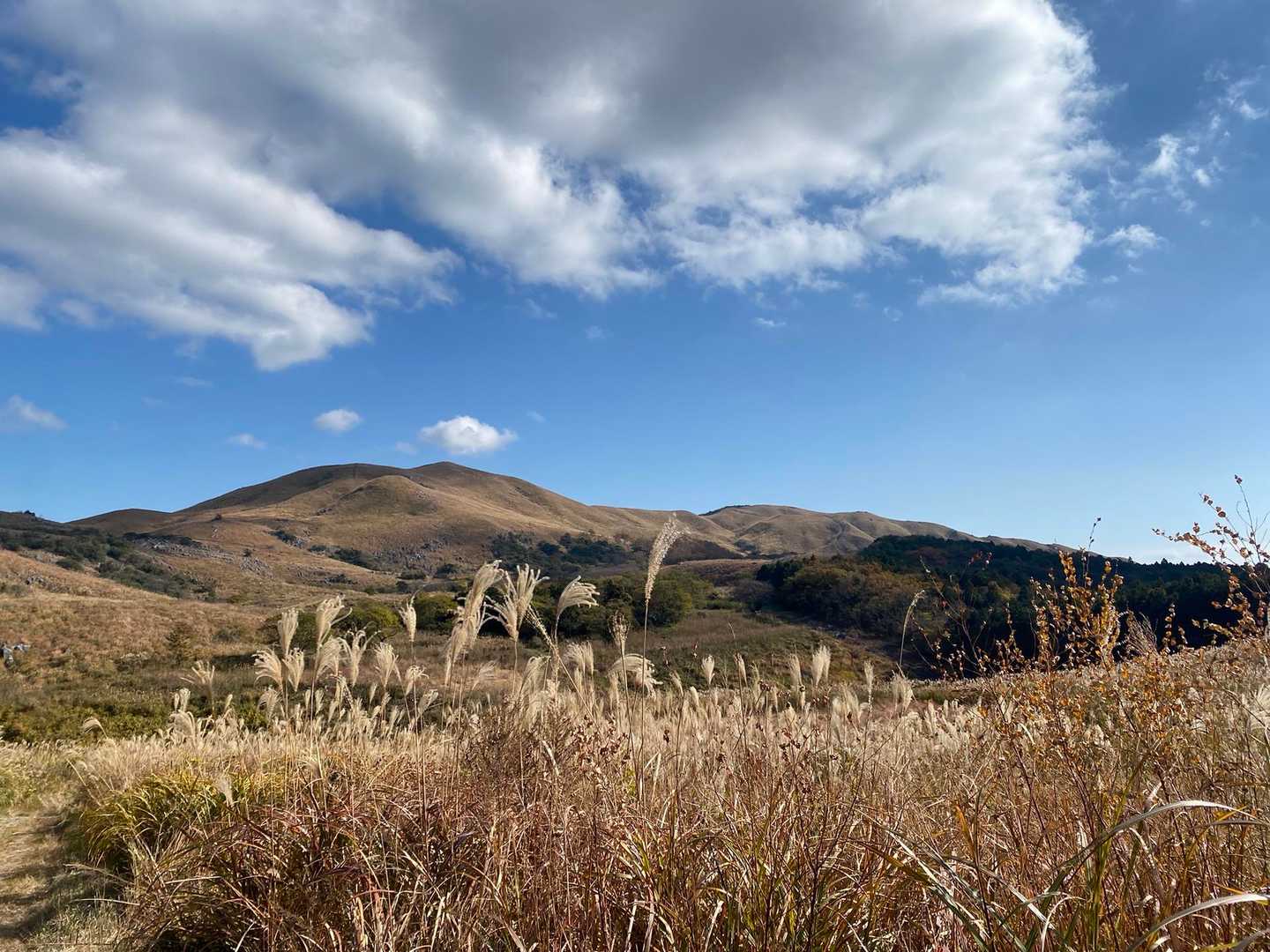吹上峠-大平山-四方台 縦走コースの写真