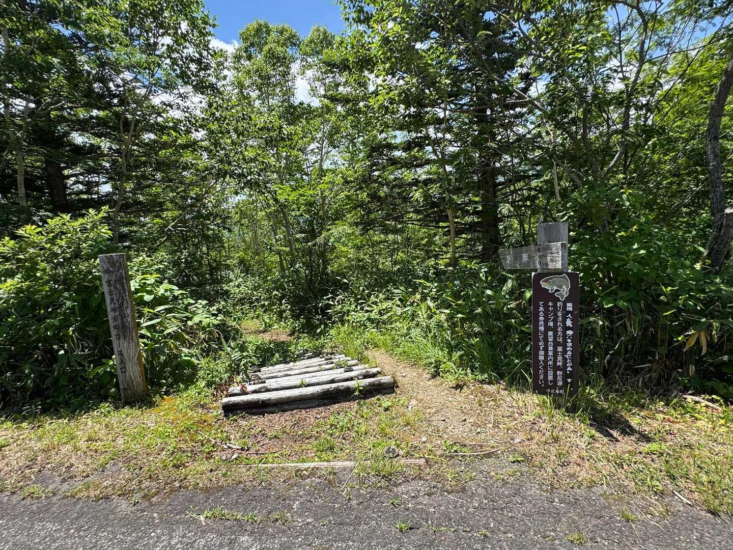 結局車道は全て登りで、ここから散策路に入るのだが、下りとなる。もう少し早く散策路に入って行けないものかと少し訝しむ。