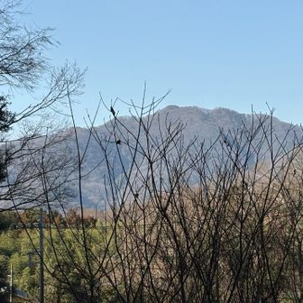 こちらは馬不入山。