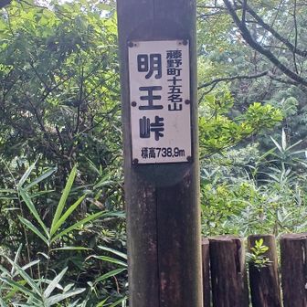明王峠。今回は休憩なし