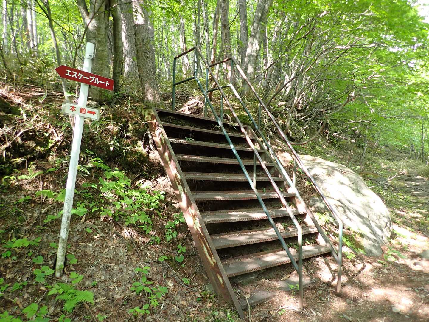 10分程、林道を歩くと、階段が現れ、登山道になります