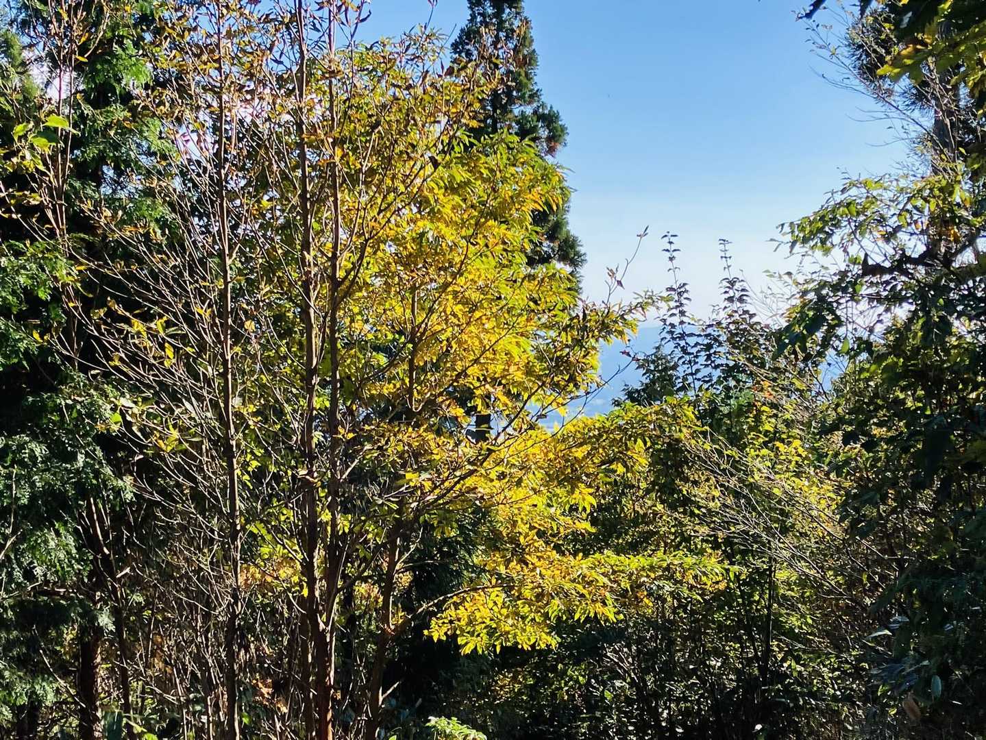 那岐山登山口-滝山-那岐山 周回コースの写真