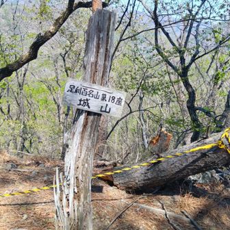 足利百名山18座
市で、百名山あるなんて凄いですね😆