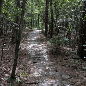 最初はこんな感じ。ついつい油断しちゃいますよね？