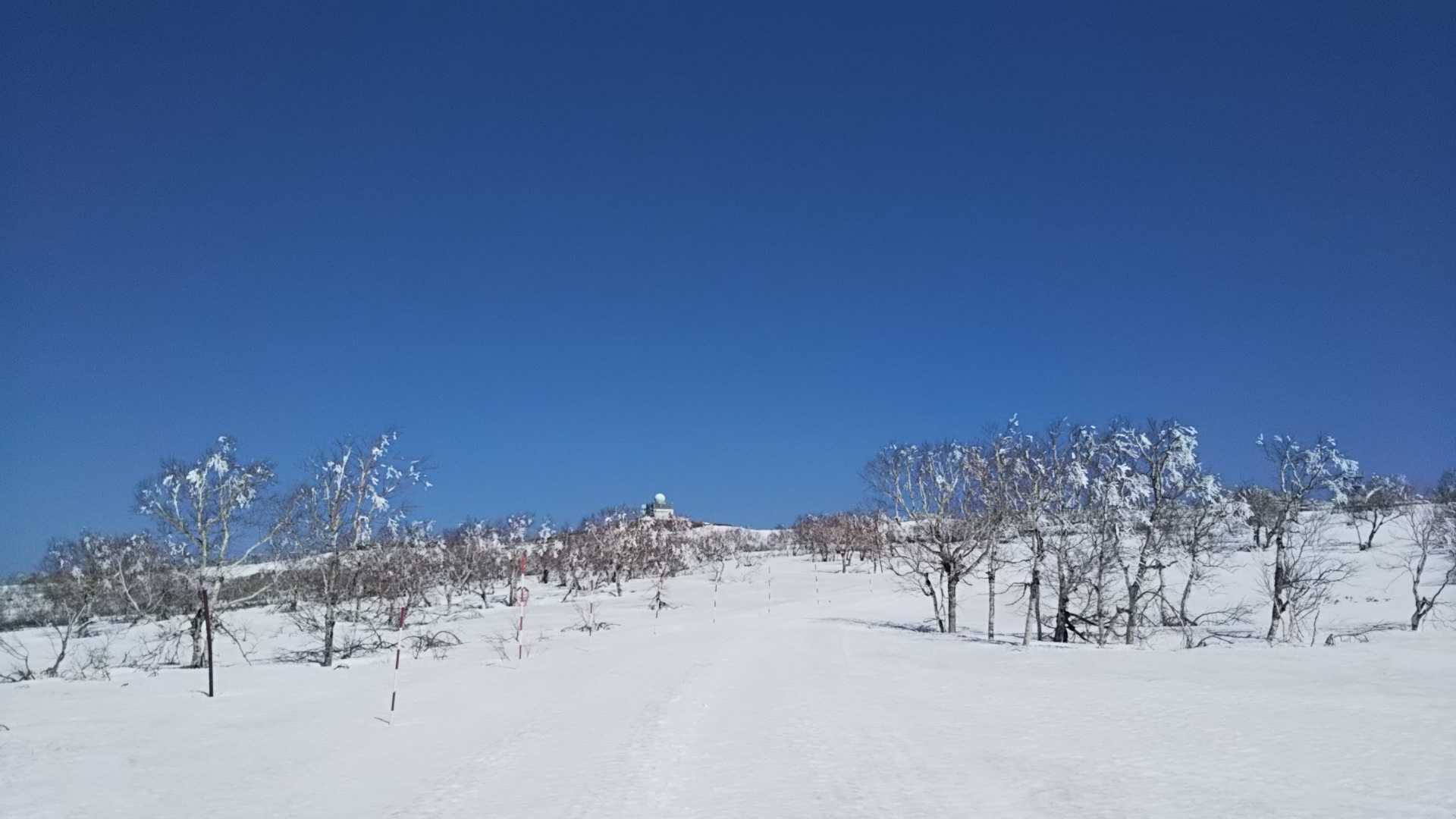 前回はこの辺で撤退かな