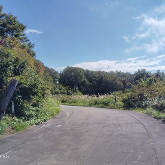 さすがにペースダウン