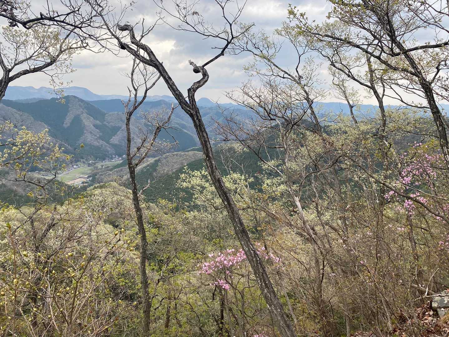 金原山登山口-金原山-林山 往復コースの写真