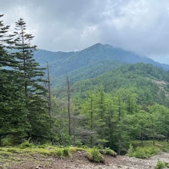 石尾根は徐々に怪しさが増して来ている。