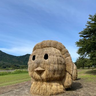 かわめ