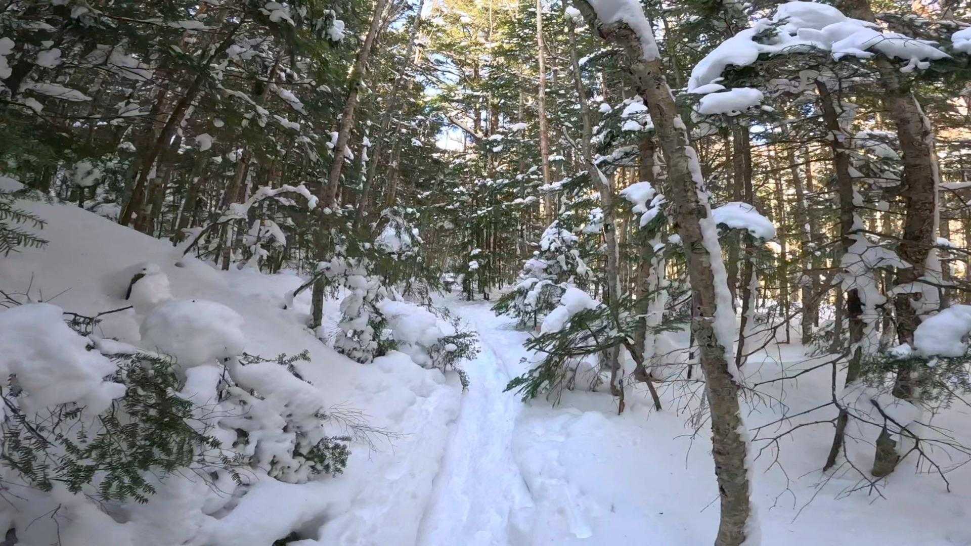 雪が深くなってきた