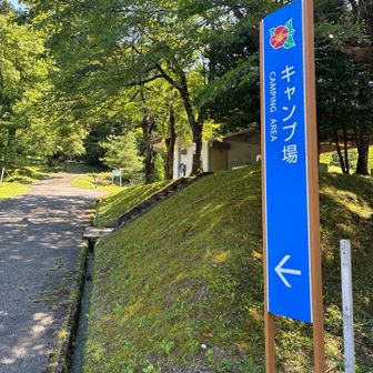 帰ってきた