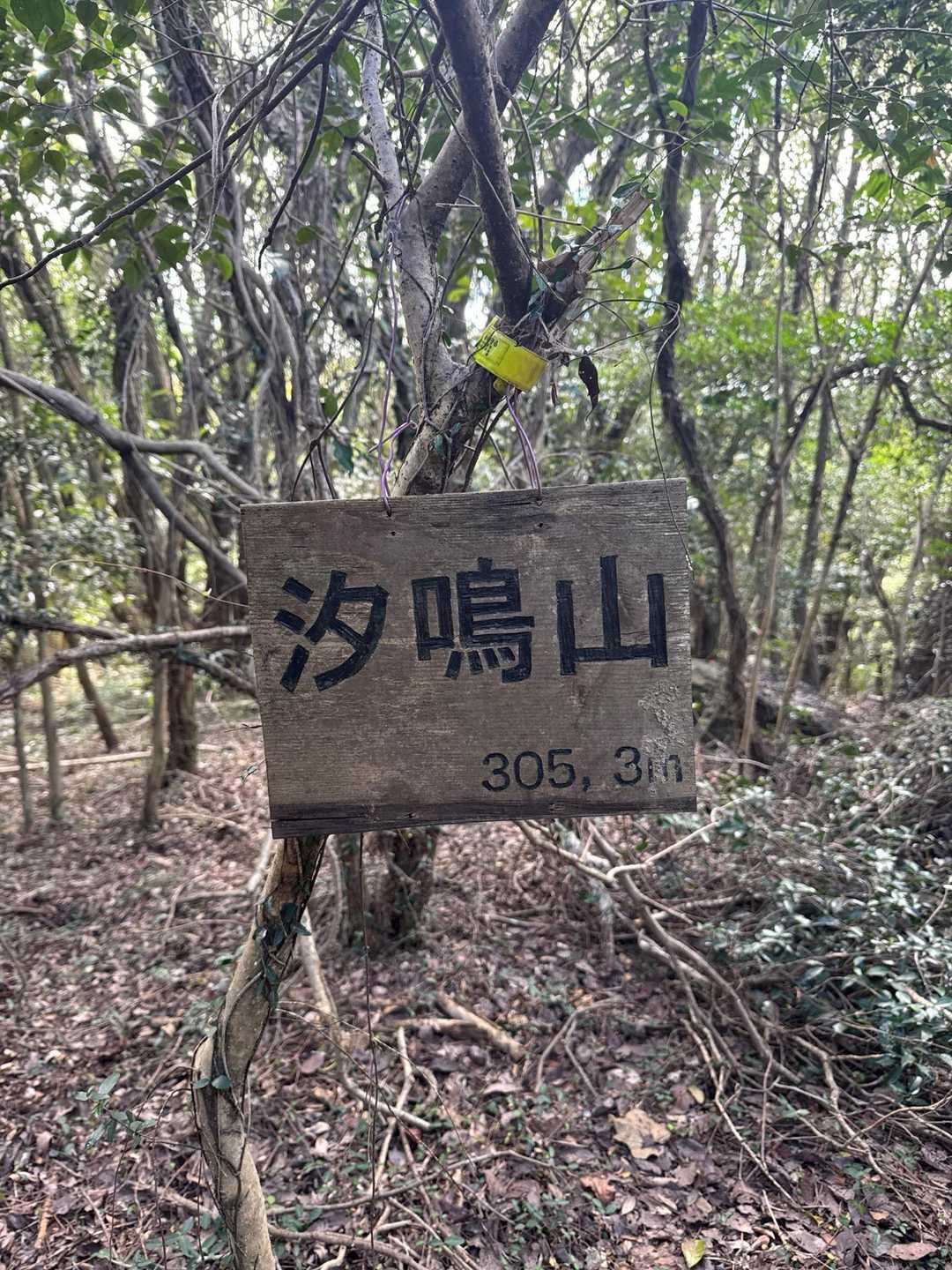 山頂到着😊