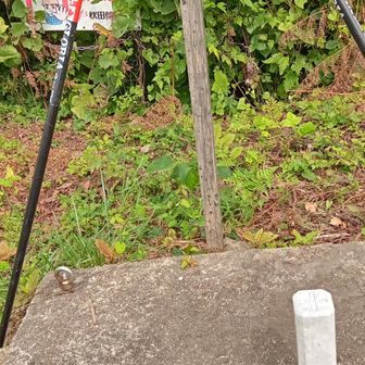 三角点頭にめんこい石が座って?