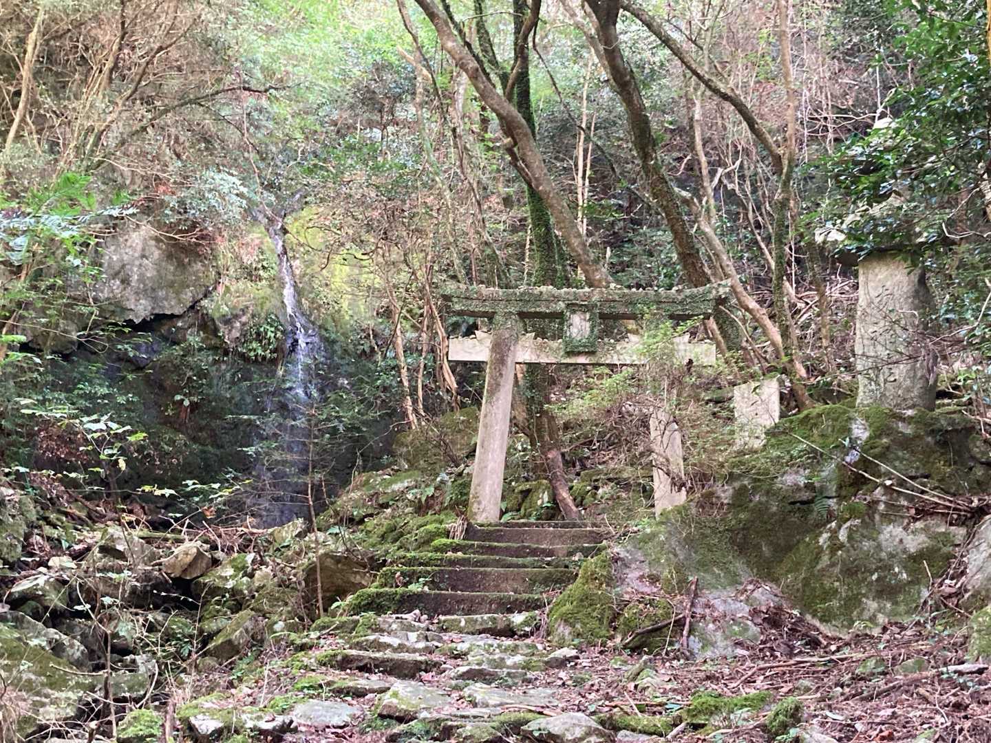 大根地山登山口-大根地神社-大根地山 往復コースの写真