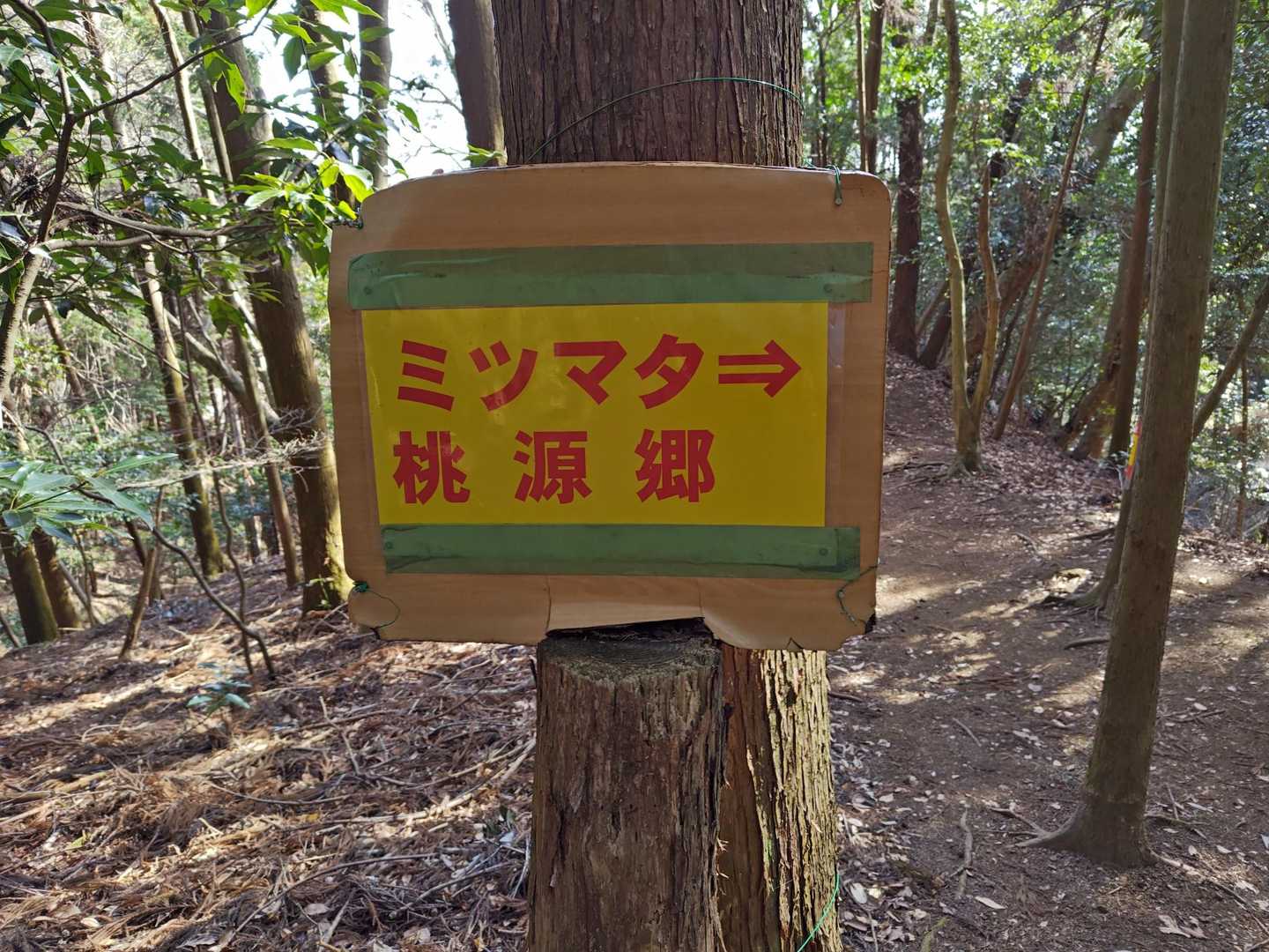 太平登山口-高取山-華厳山 往復コースの写真