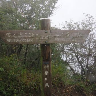 行者ヶ岳山頂