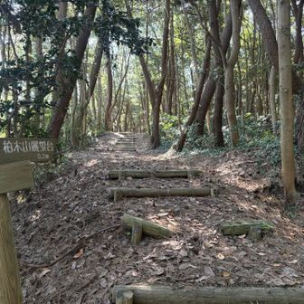 お次は　展望台があるようです

どこもかしこもオーシャンビューですけどね♪
