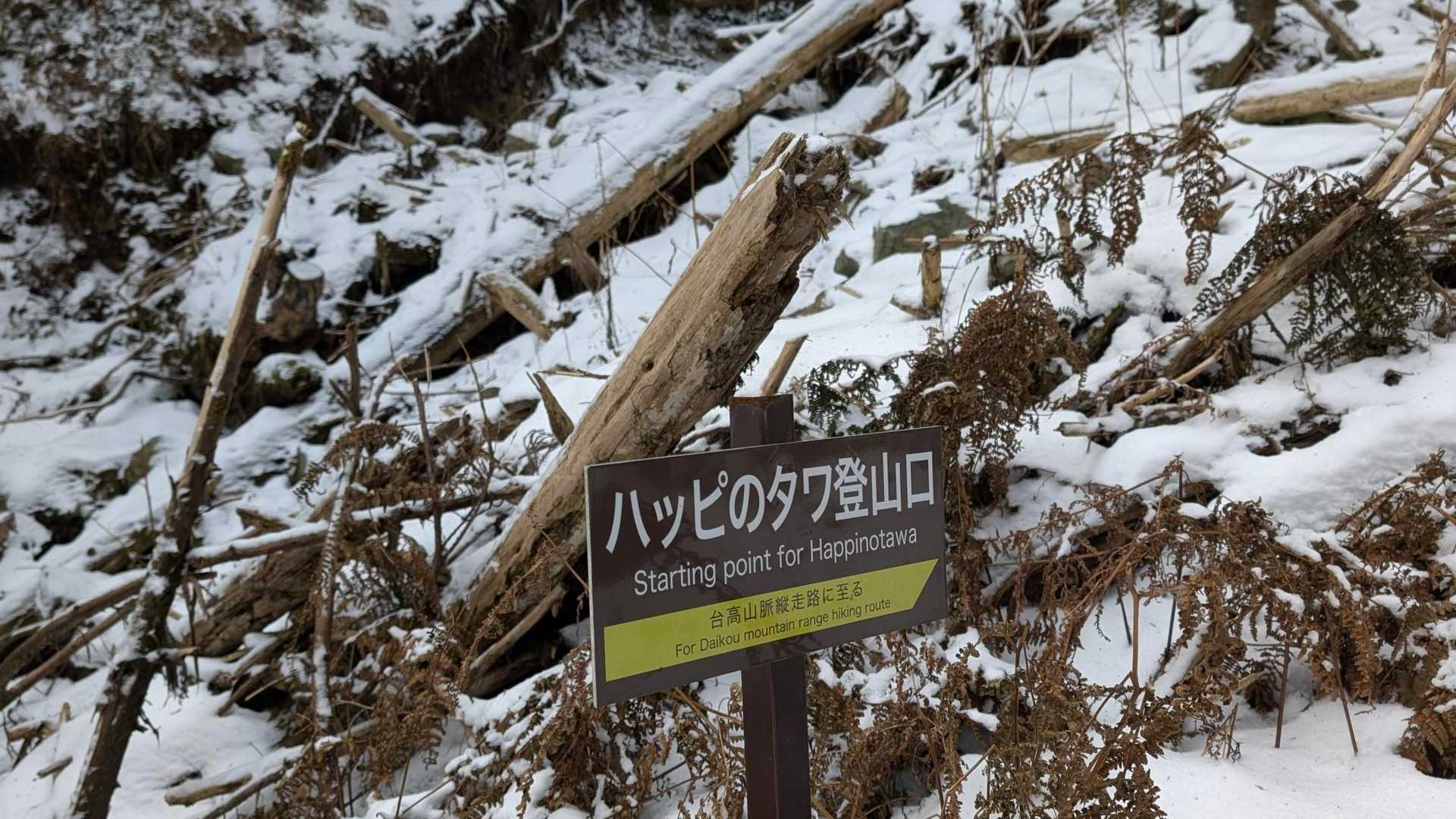 1つ目の登山口
周回ゴール地点だが、かなり崖みたいな急斜面💦ここを降りるのは無理と判断
別ルートで下山に変更決定