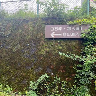 駐車場までは行きよりも長く感じられたけれど、無事戻ってきました！