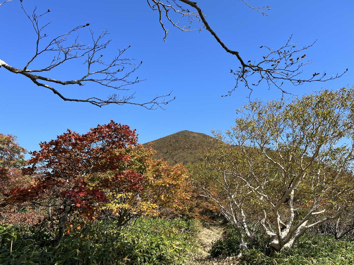 さて、目指すはこちら
後烏帽子岳
写真ではうまく色が出てないけどきれいなマーブルに紅葉してます