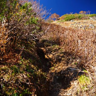 写真じゃ伝わらないが、赤岩岳山頂へはザレた急斜面のゴリ登り🥵
色んな物にしがみついて登っていく
下山怖かった😭
