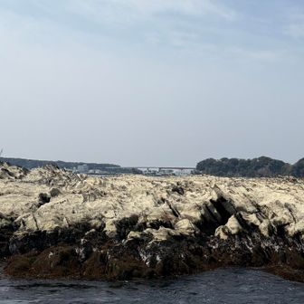 城ヶ島大橋が見えてきた