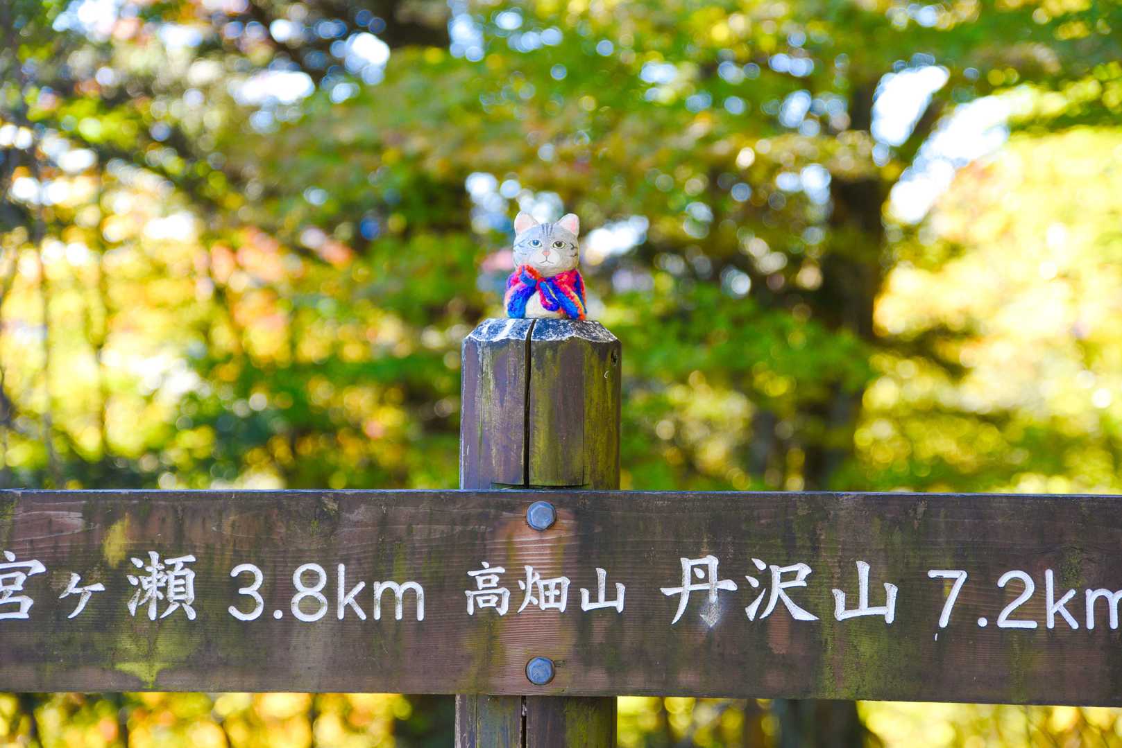 高畑山到着