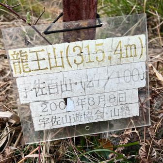 今月、初ピーク…