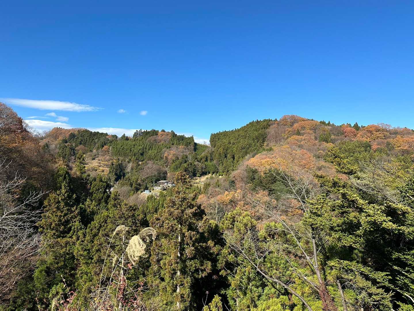 釜の沢五峰登山口-布沢峠-竜神山-兎岩登山口 周回コースの写真