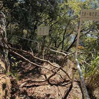 右側が通行止めの登山道です。整備されてました。