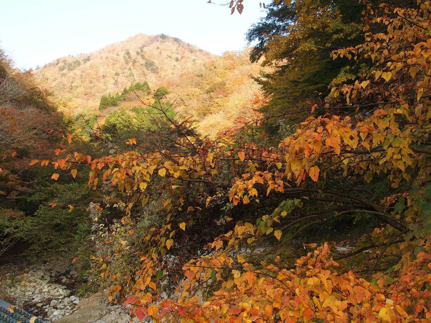 穏やかな秋の夕暮れ、お疲れさまでした！ですが、これからが本番！！