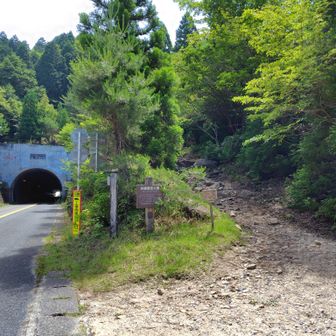 今日は武平峠駐車場が東西満車だったので、茨谷駐車場に停めた。トンネルまで300㍍くらい、舗装されてるし、なかなか良いかも。