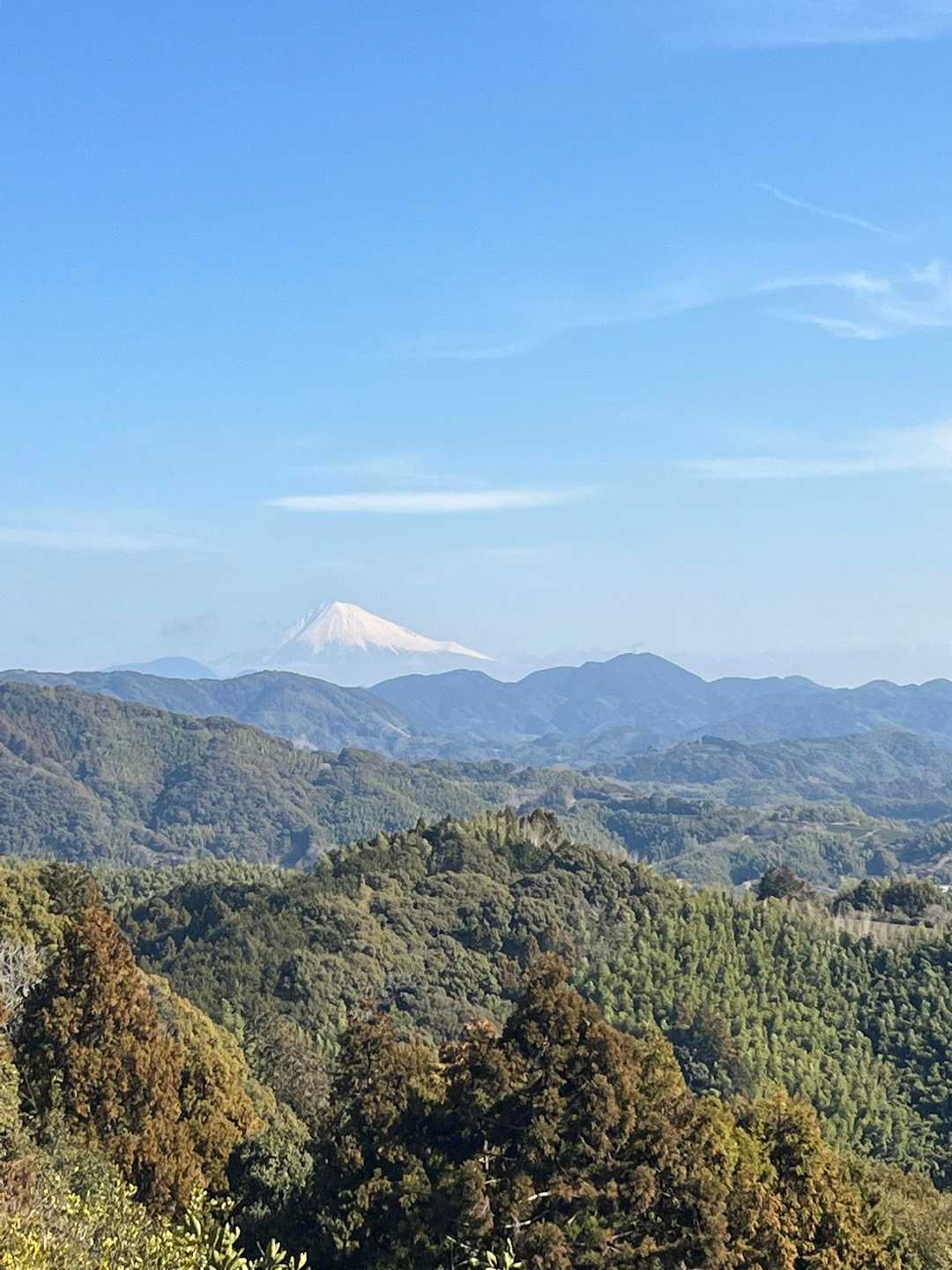 双子山 往復コースの写真