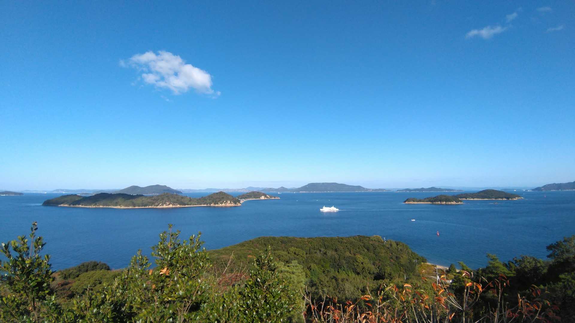 今日も瀬戸内の海～🐠🐠