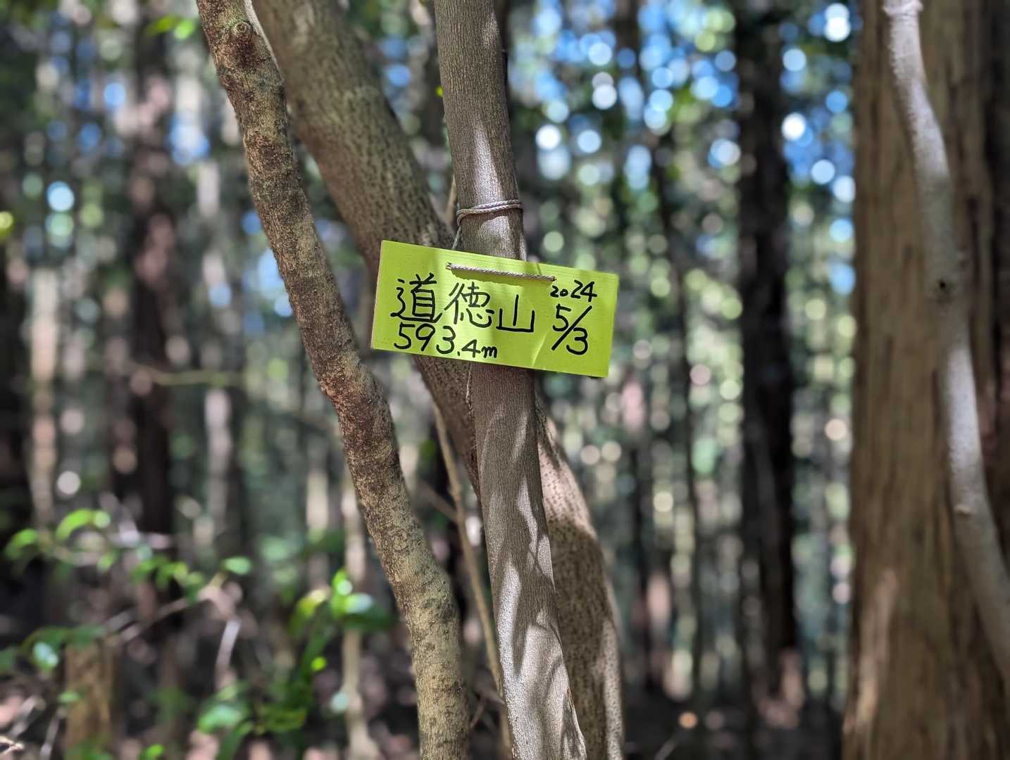 道徳山-緑山 周回コースの写真