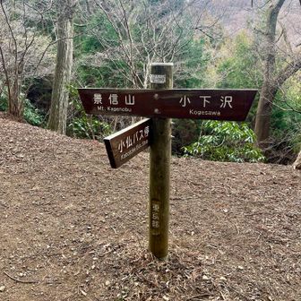 景信山南東尾根はここで東尾根と合流する