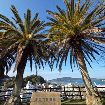 南国っぽい景色🌴