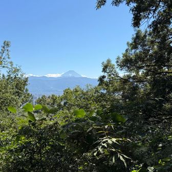 富士山見えて嬉しい😆