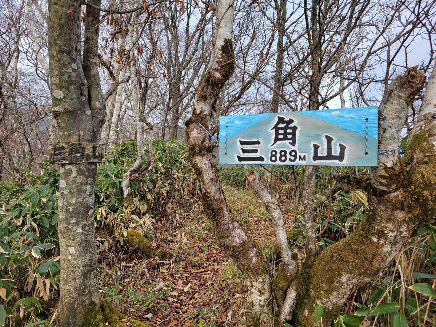 登頂っ⛰️
標識あるんだね😃