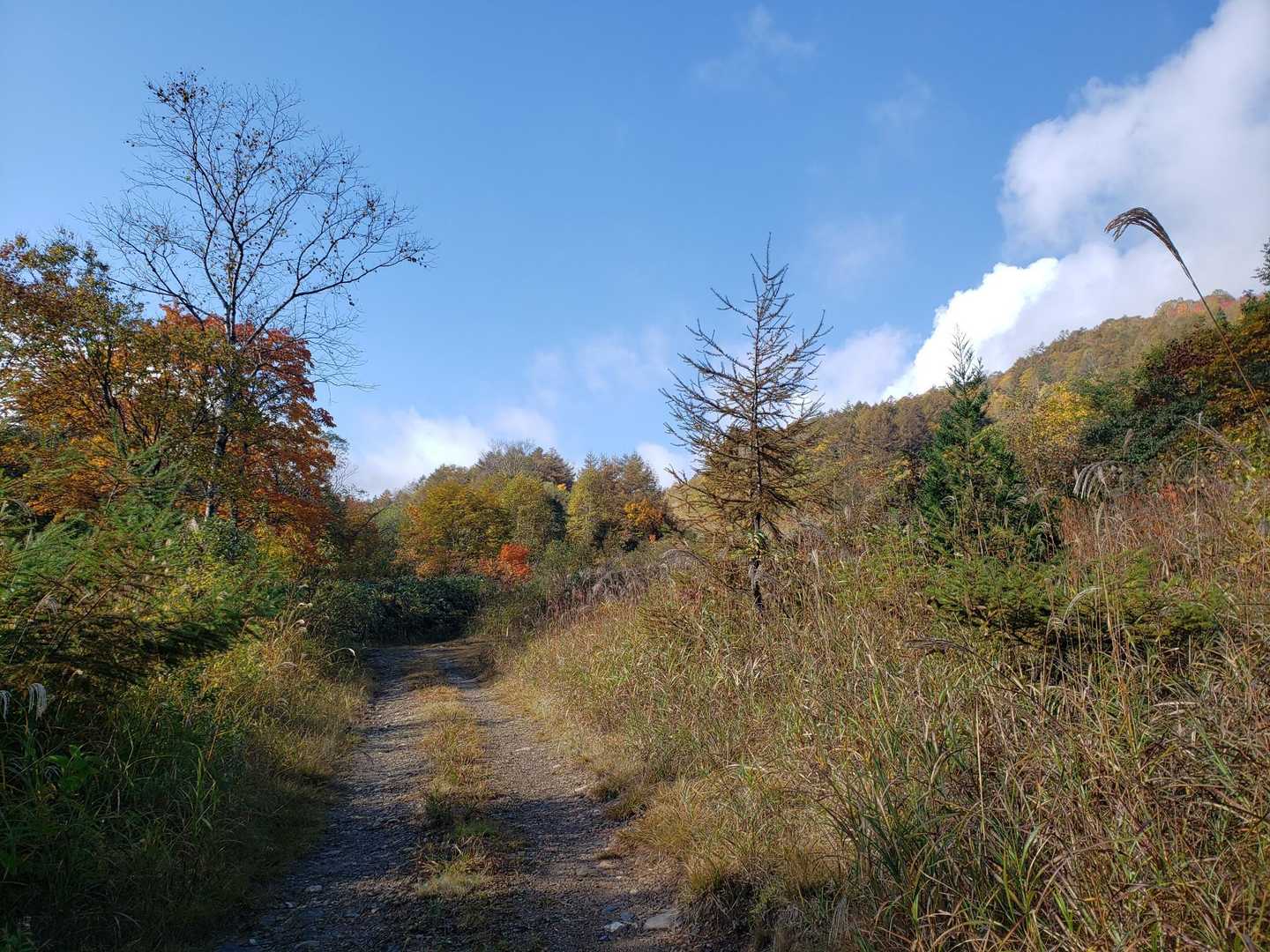 三坂峠-稲包山 往復コースの写真