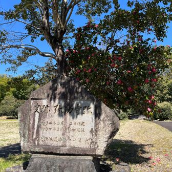弥勒寺跡史跡へ