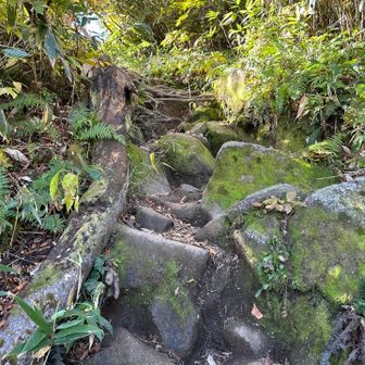 こういうところは登りにくい。