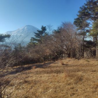 富士は見えましたが…微妙だよなあ😅