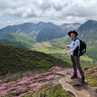 ぱるる推しじゃないぱる