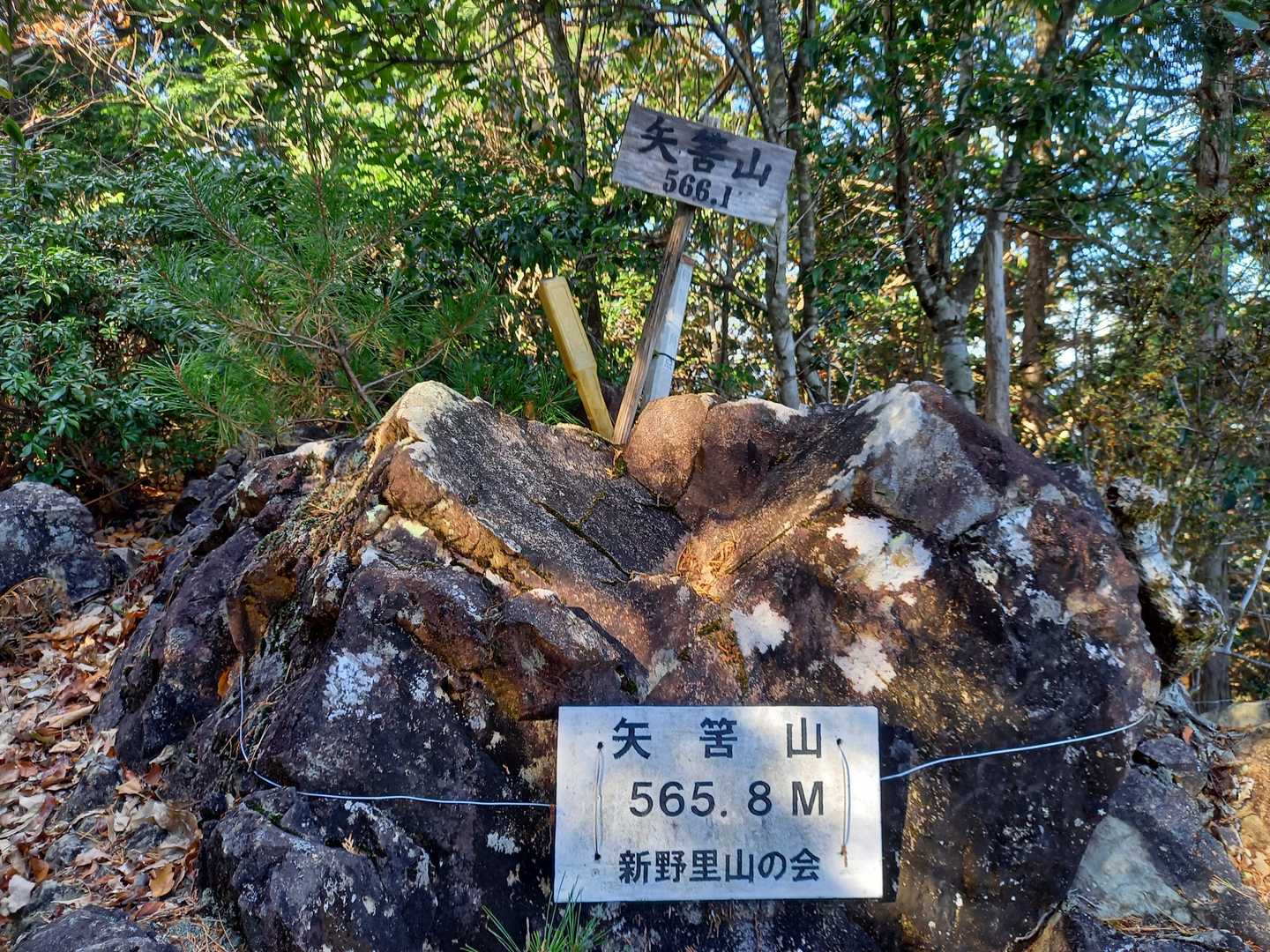 矢筈山、到着！👍️